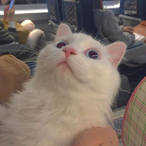 欧美性生交xxxxx办公室
