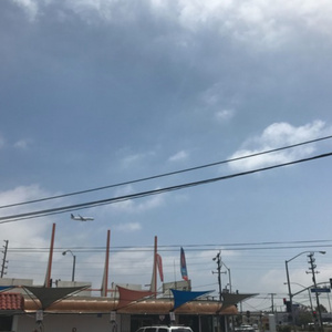 欧美性生交xxxxx办公室
